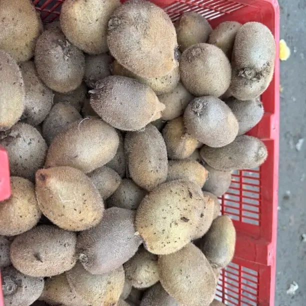 广微猕猴桃小猕猴桃鲜果黄心绿心红心猕猴桃新鲜香甜多汁当季水果