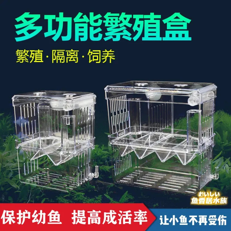 鱼缸隔离盒孔雀鱼孵化盒热带鱼小鱼幼鱼孵化盒特大号大号小号独立
