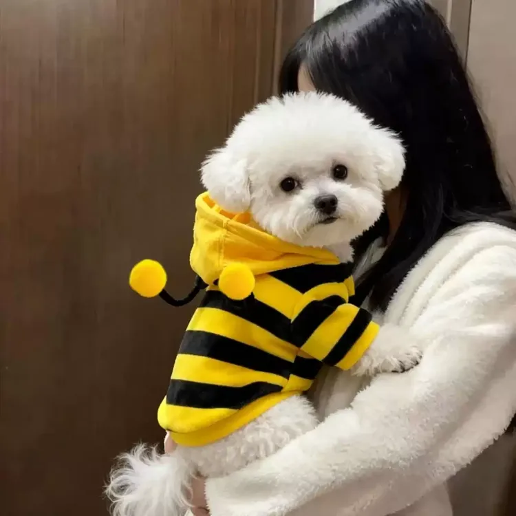 狗狗衣服秋冬装狗宠物猫咪蜜蜂柯基比熊泰迪小型犬保暖新款卫衣zy