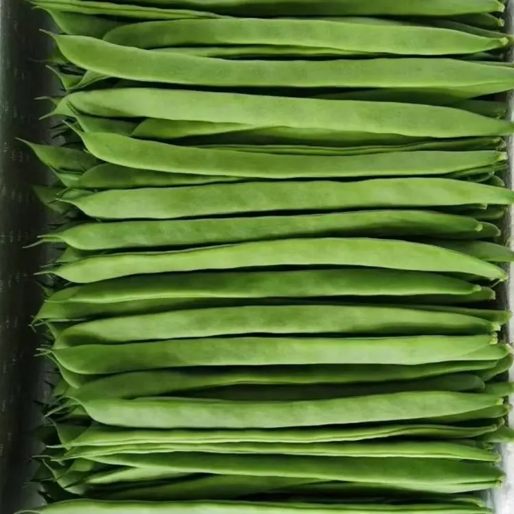 云南农家种植扁豆刀豆四季豆新鲜蔬菜整箱发货