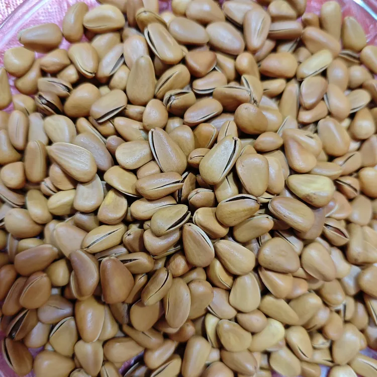 东北开口红大松子松子开口松子大颗粒手剥零食坚果土特产新货