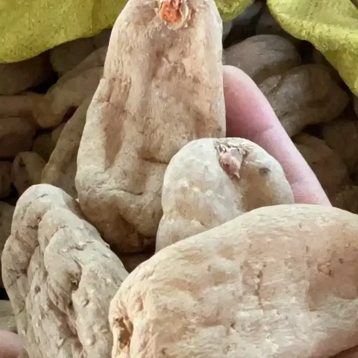 精选山货天麻高端滋补养生佳品