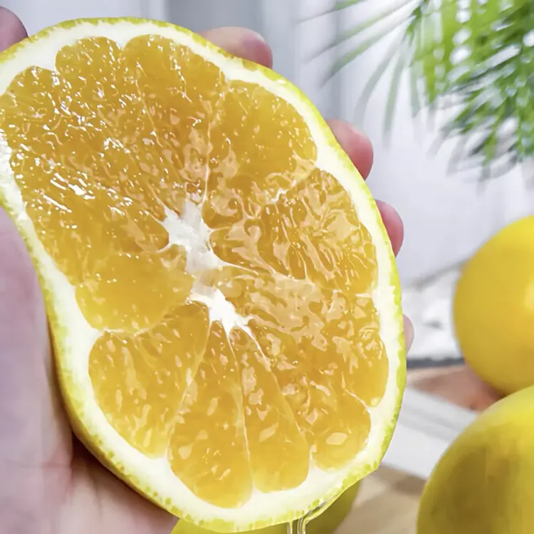 福建爆汁黄金柚新鲜爆汁葡萄柚当季清甜水果