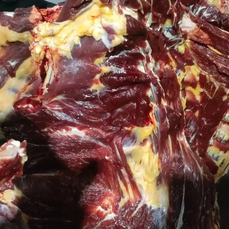 青藏高原散养新鲜白牦牛牛排牛肉