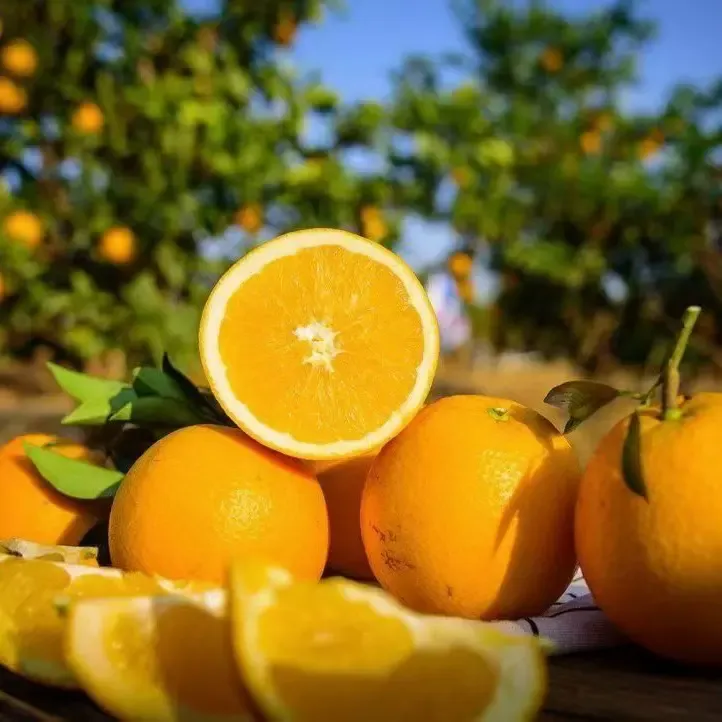 江西赣南脐橙新鲜水果当季现摘甜橙产地直发手剥橙子孕妇水果