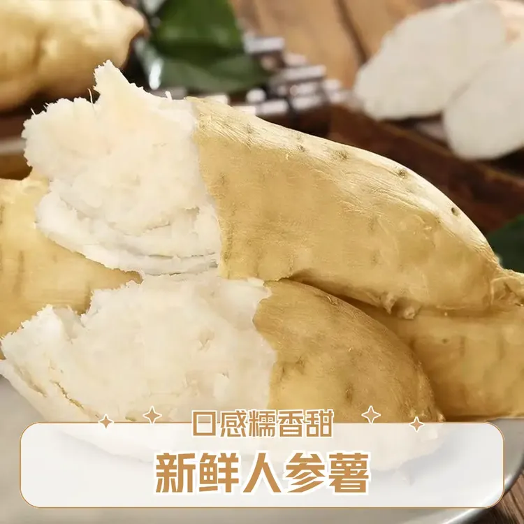 新鲜现挖白皮人参薯牛奶薯白心红薯粉糯香甜栗薯地瓜产地直发