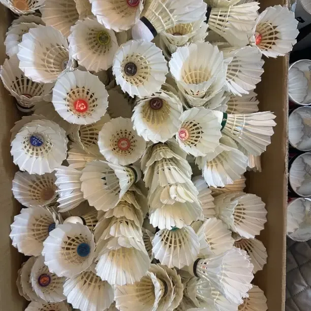 二手无修复羽毛球训练娱乐比赛都合适飞行稳定耐打12只装