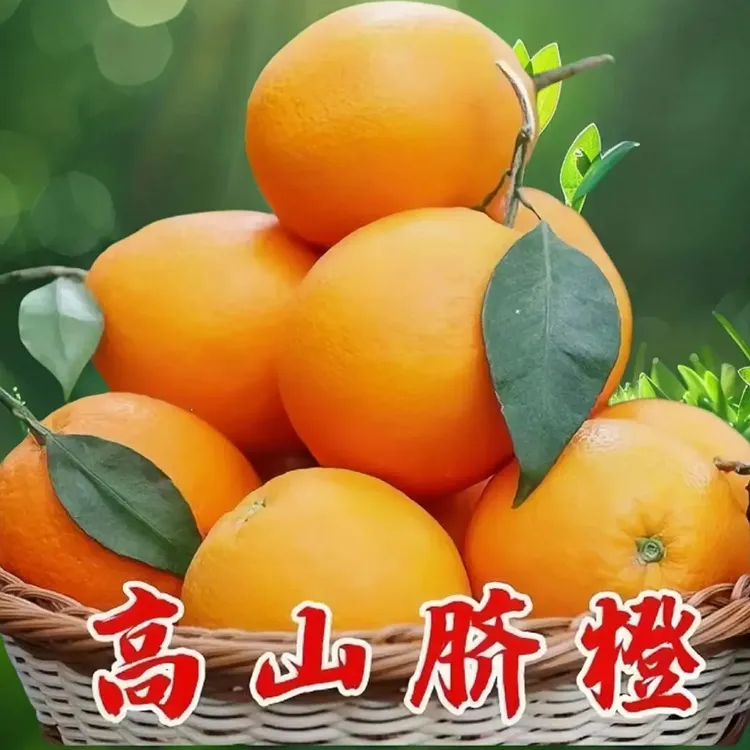 正宗江西赣南脐橙现摘新鲜香甜多汁产地直发水果