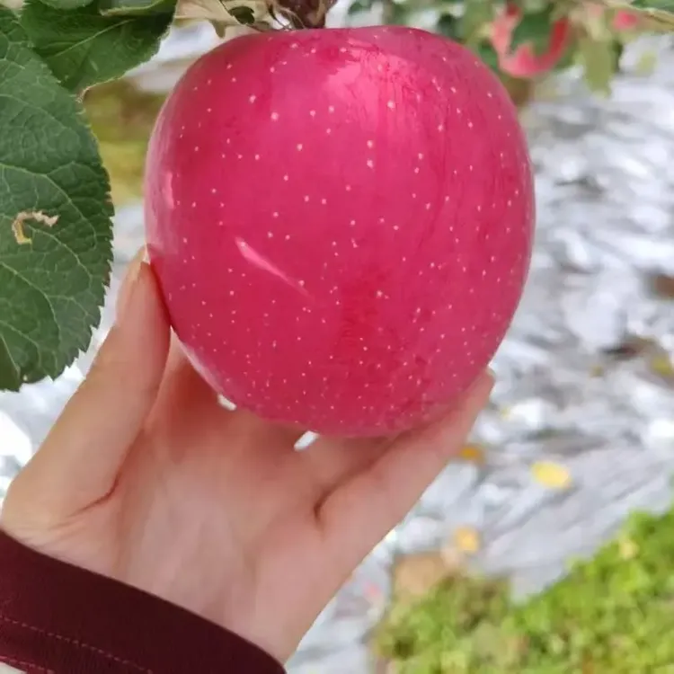 云南昭通与大凉山丑苹果冰糖心新鲜现摘脆甜多汁水果