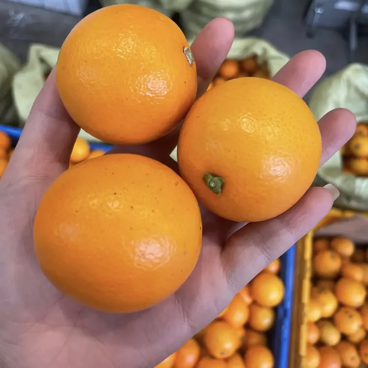 湖南永兴冰糖橙当季新鲜甜橙子产地直发清甜多汁应季水果橙香味浓