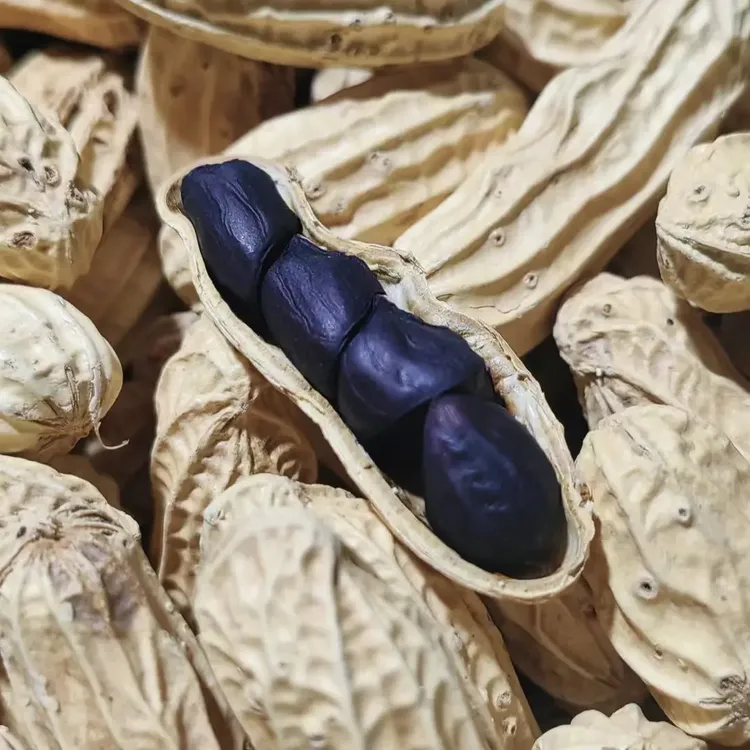 云南富硒带壳黑花生营养健康可生吃可熟吃的美味零食