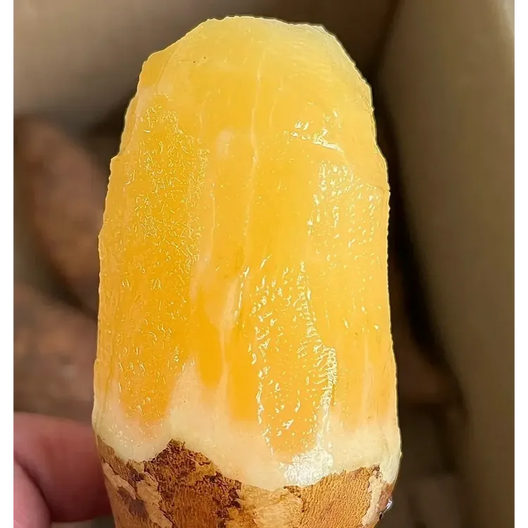 【低糖水果】云南天山雪莲果新鲜水果清甜爽口当季红泥沙新大果脆甜