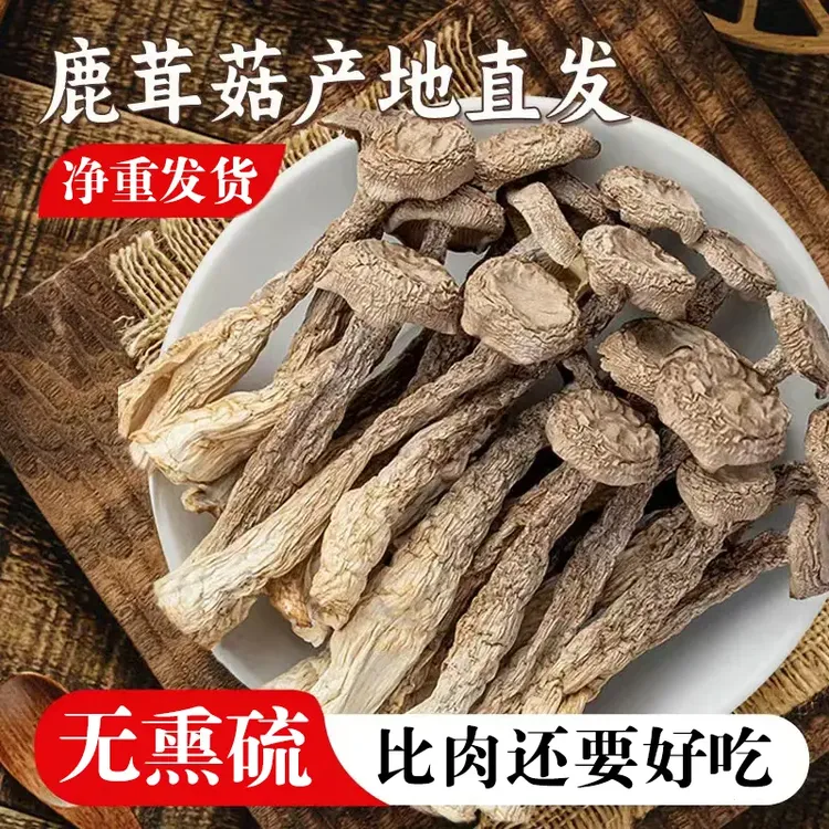 高山鹿鹿茸菇干货甄选鹿茸菌特产煲汤营养食用菌香菇香浓郁食材