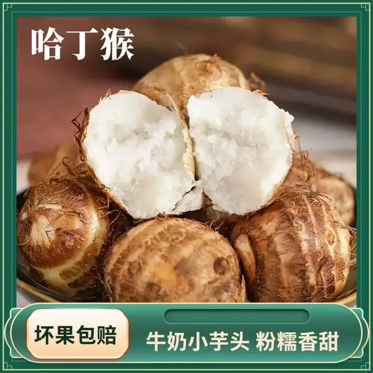 【哈丁猴】云南牛奶芋头 大自然高山新鲜产地直发农家自种