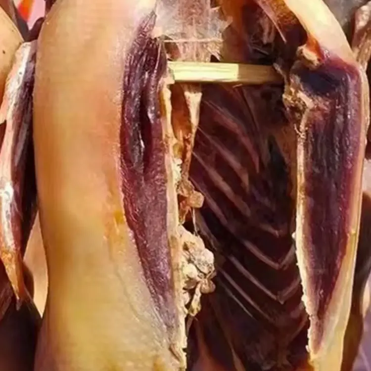 肥东散养稻田麻鸭