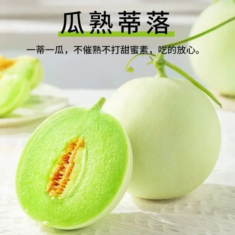 【顺丰京东/头茬玉菇】山东正宗软糯香甜冰淇淋甜瓜口口爆汁高甜瓜