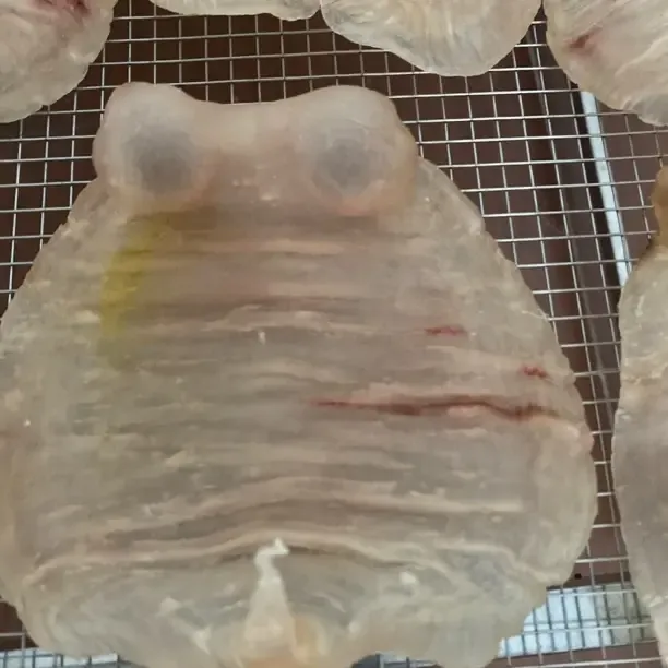 深海自晒高品质老赤嘴母胶花胶现称现卖