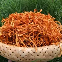 农家新货虫草花煲汤炒菜