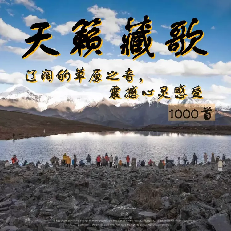 藏语歌曲草原民歌高原情歌藏歌锅庄舞曲MP3车载U盘天籁之音