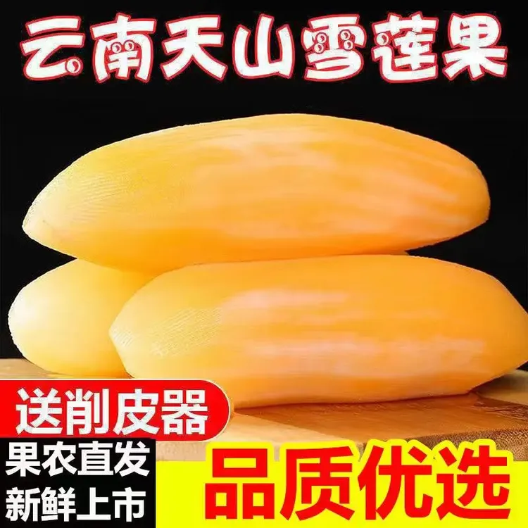 【10斤大甩卖】2025年天山雪莲果农家新鲜脆甜现挖多汁水果特价批发