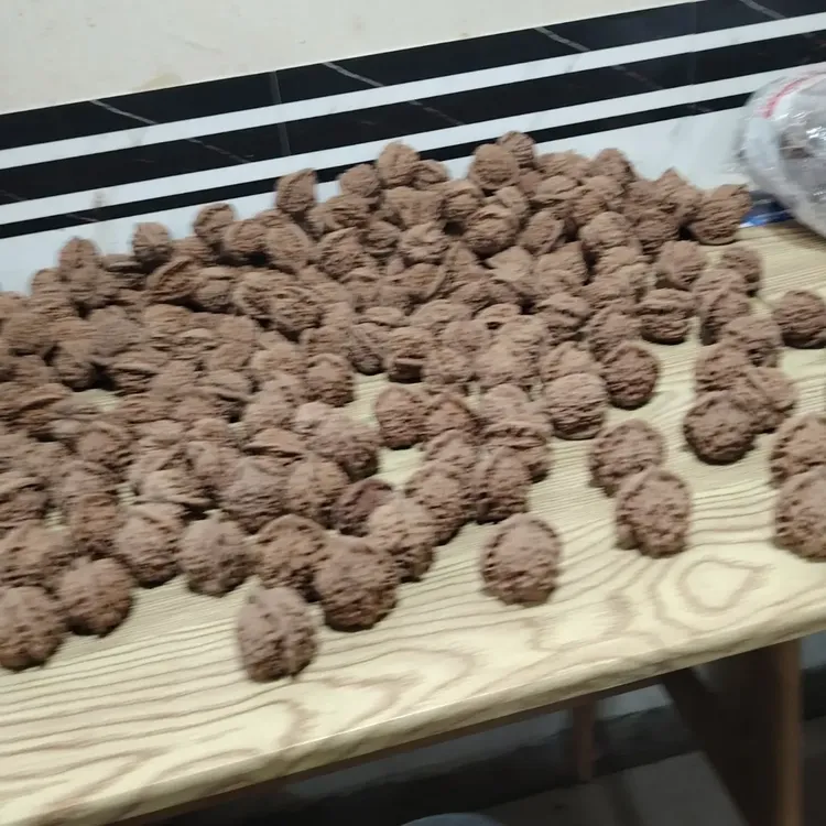 高山老树核桃麻核桃