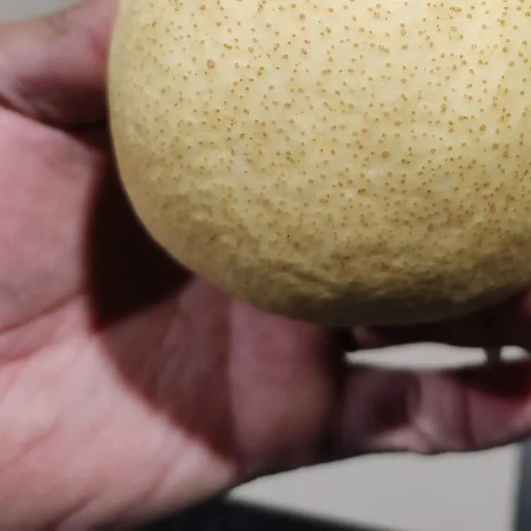 山西正宗万荣孤峰山酥梨当季新鲜脆甜多汁果园直发