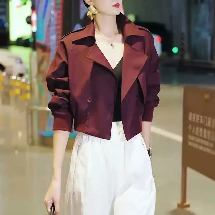 法式高级感简约翻领外套女春季新款小个子洋气设计感通勤短款上衣