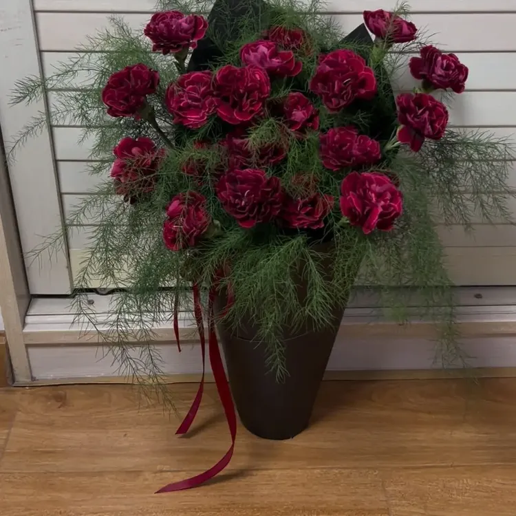 【套餐2】芦荀草＋红绸20枝  0度以下地区需拍保温棉 任意2单发顺丰