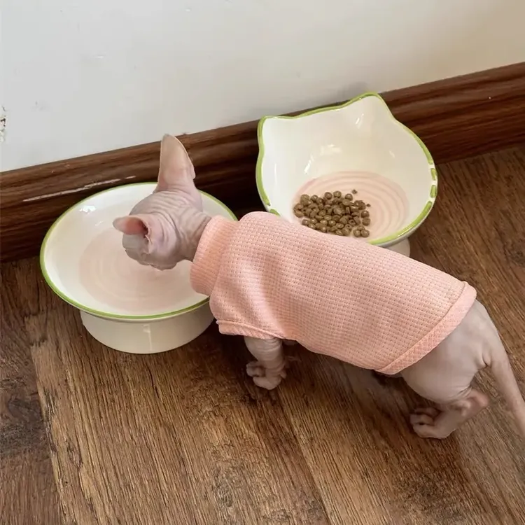 猫碗猫咪食盆陶瓷狗碗宠物专用饮水吃粮高脚斜口保护颈椎碗大口径