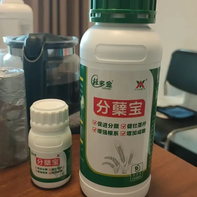 促进小麦分蘖分壮蘖促进多成穗叶面肥生根壮苗叶面肥