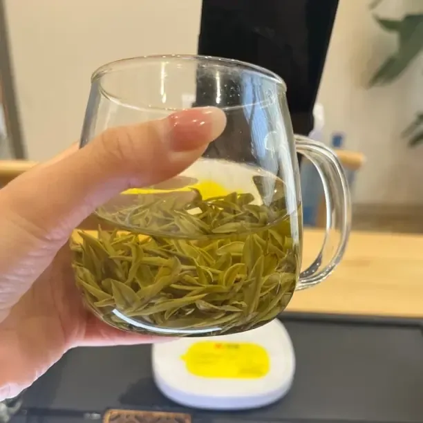 头采安吉新茶明前小芽芽春茶高货