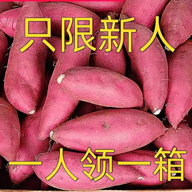 【沙地现发】沙地红薯蜜薯新鲜西瓜红蜜薯地瓜番薯龙九超甜蜜薯