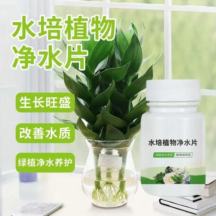  水培植物净水片碗莲富贵竹净水鲜花保鲜花卉植物复合肥掺混肥商品图