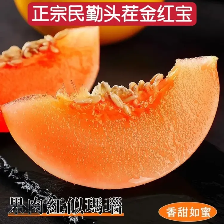 【正宗民勤蜜瓜】甘肃民勤蜜瓜现摘香甜多汁民勤新鲜当季蜜瓜JJJ