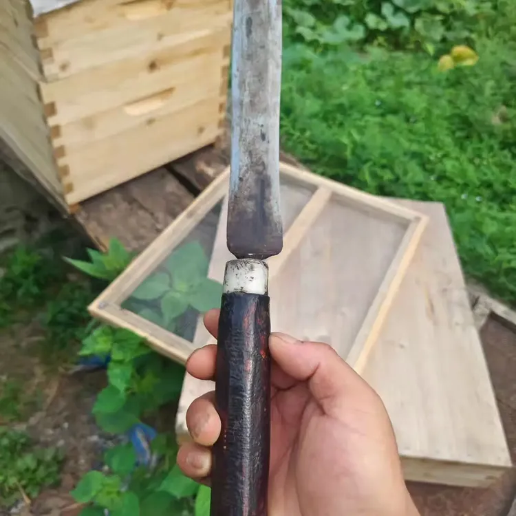 割蜜刀养蜂专用进口弹簧钢手工锻打