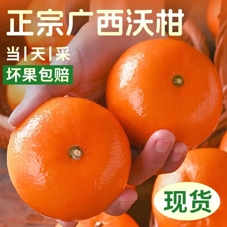 正宗广西武鸣沃柑当季新鲜水果香甜皮薄多汁柑橘现摘现发坏果包赔
