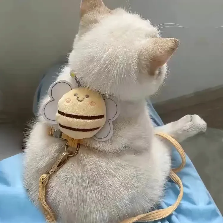 猫咪牵引绳防挣脱外出专用网红遛猫绳宠物背带链子可调节遛猫引绳