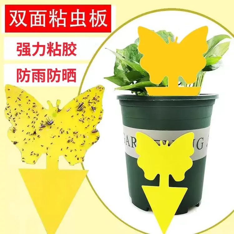双面黄色粘虫板强力诱虫纸贴黏小黑飞虫蝇蜂诱捕器园艺蝴蝶型粘板
