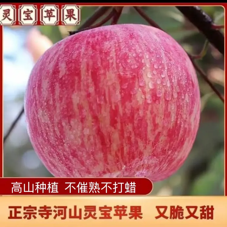 河南灵宝寺河山高原天然富硒苹果红富士苹果脆甜多汁