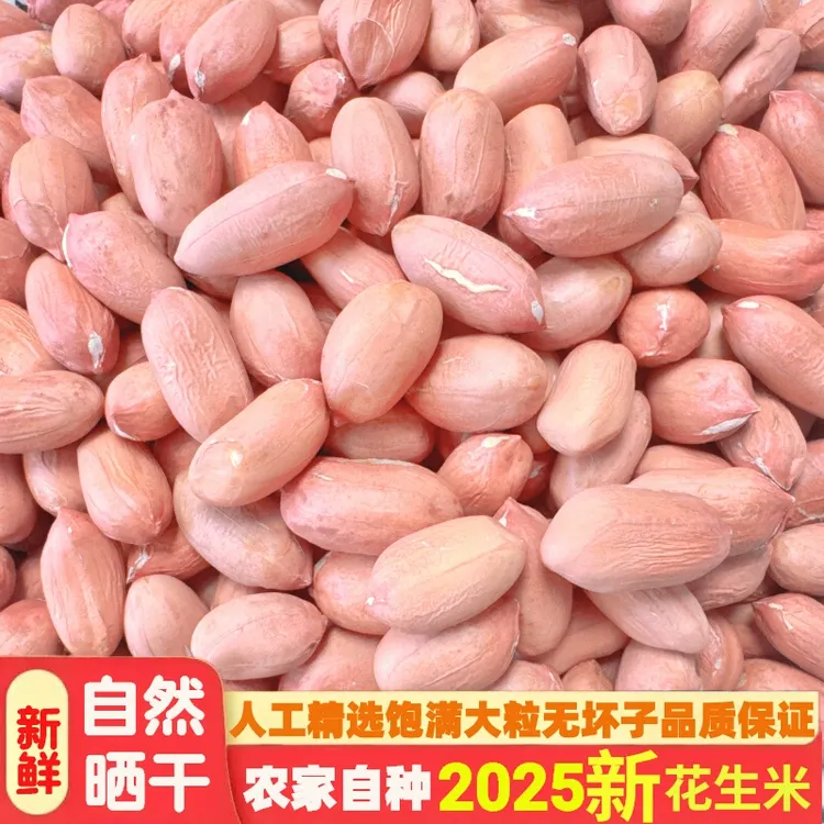 手剥当季无壳粉皮新花生米农家自种黄河边沙地大笨花生2025年
