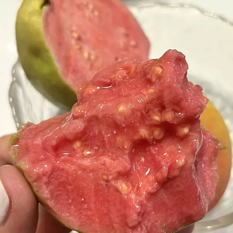 【顺丰包邮】广西红心软芭乐（个人口感不接受售后）软糯香甜内水果