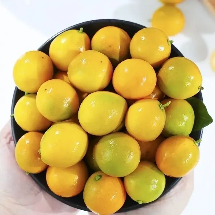 【3斤】桂林阳朔当季脆皮金桔新鲜小橘子连皮吃无酸