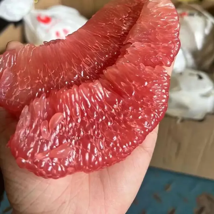 台湾品种红文旦柚当季新鲜多汁水果顺丰包邮礼盒装