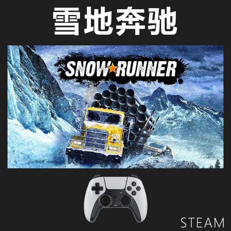 【雪地奔驰】入库支持游戏支持 PC无线游戏手柄蓝牙有线双人