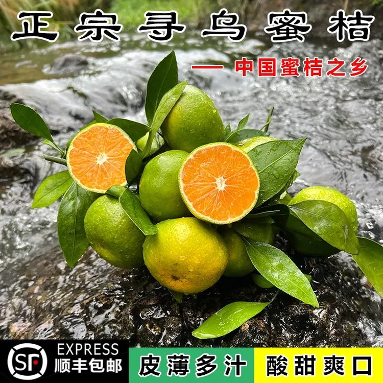 正宗江西赣南寻乌蜜桔橘子新鲜水果青皮桔子无核无籽3/5斤顺丰发