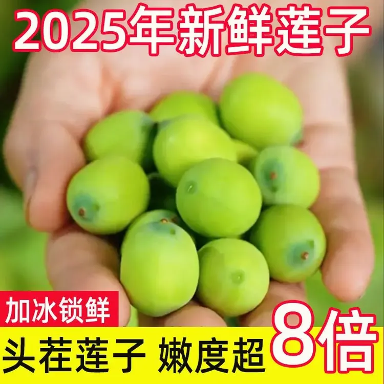 新鲜莲蓬嫩莲子米可生吃水果莲蓬现摘嫩甜莲子高品质孕妇水果莲子