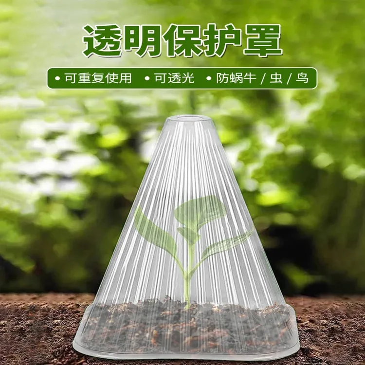 幼苗塑料保护罩植物免受鸟类霜冻蜗伤害防冻育苗罩透明可重复使用