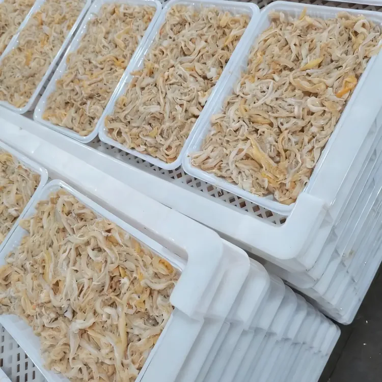 渤海湾烟台养马岛本地港湾贝现括扇贝裙边新鲜清理干净