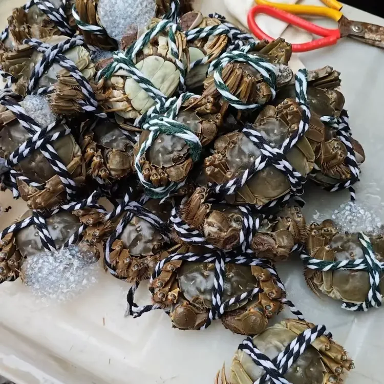 无品牌【活蟹】沱湖大闸蟹母蟹/2-2.3两5只公蟹/3-3.3两5只