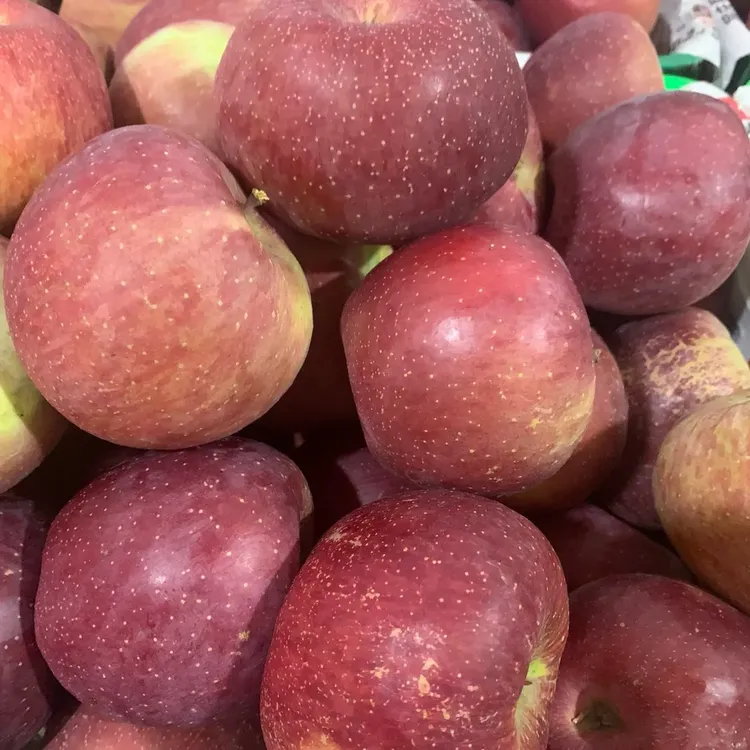 云南丽江丑苹果5斤（好吃多汁）